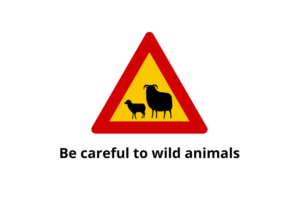 Iceland animal crossing road sign 