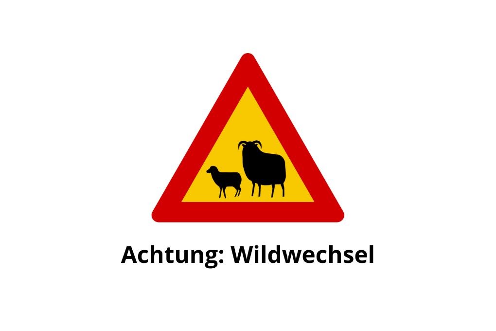 Isländisches Verkehrsschild für Wildwechsel